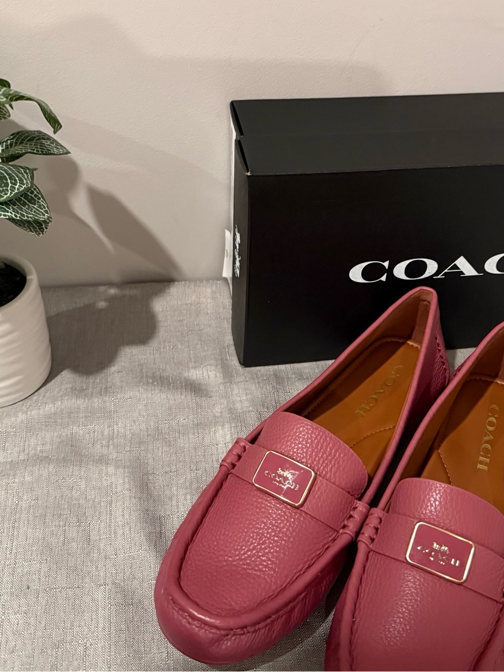 COACH Women's Light Raspberry Mona Driving Moccasins Leather